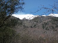 fugio Paterno-20100221 033